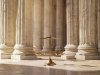 Navigating the Maze: A Guide to eCourts Online