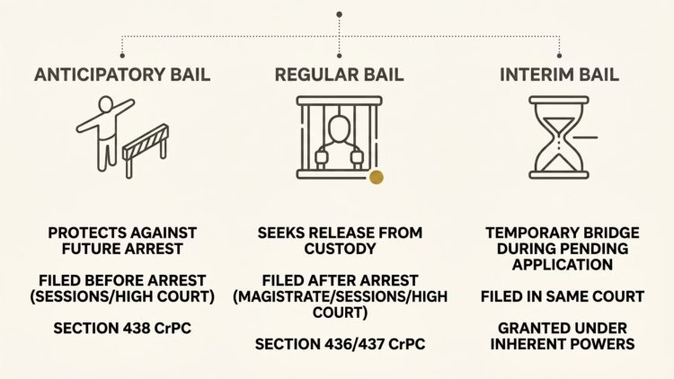 Bail in India: Regular, Anticipatory, and Interim